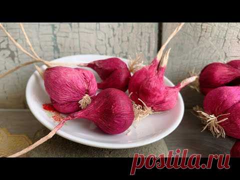 ABC TV | How To Make Bulb Of Purple Onion From Crepe Paper - Craft Tutorial