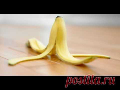 Способы использования банановой кожуры | Полезные советы