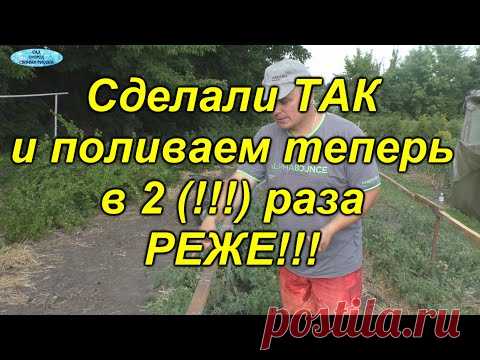 Теперь мы поливаем свои томаты в 2(два!) раза реже!