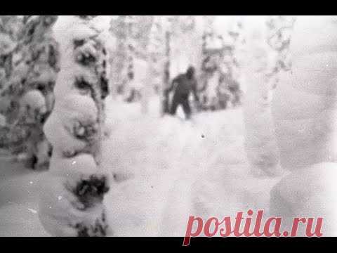 Discovery-Перевал Дятлова гипотеза о йети /Dyatlov's pass hypothesis of the yeti 2014