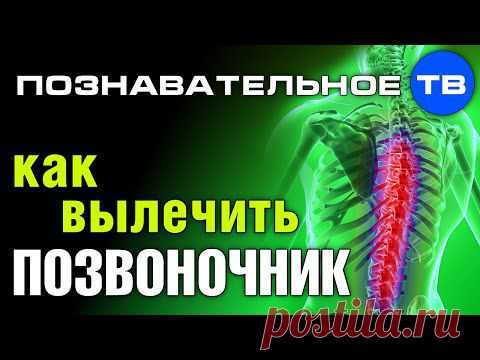 Как вылечить позвоночник? (Познавательное ТВ, Герман Тюхтин)