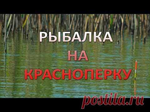 Рыбалка на красноперку