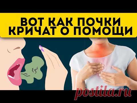 Врач промолчит специально! Первые симптомы проблем с почками, когда можно все исправить