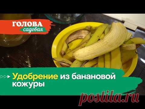 Голова садовая - Удобрение из банановой кожуры