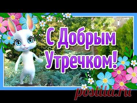 Доброе Утречко Хорошего Дня! Пожелания Доброго Утра! Утренний Приветик - YouTube