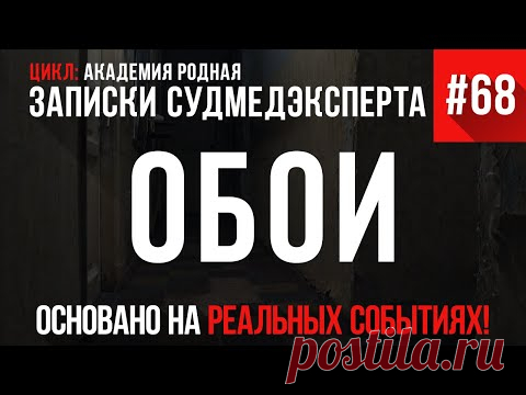 Записки Судмедэксперта #68 «Обои»
50 + СОБЫТИЙ