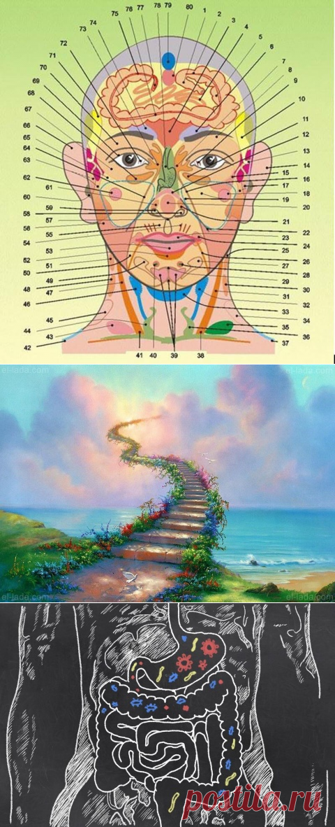 Диагностика здоровья по лицу и шее