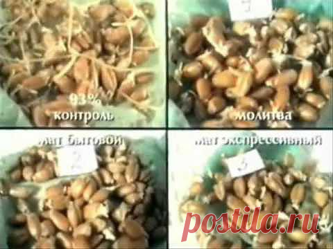 Влияние мата на воду - YouTube