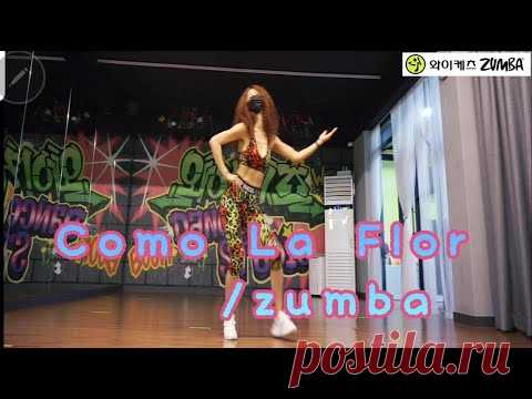 [와이케츠줌바]Como La Flor / Zumba