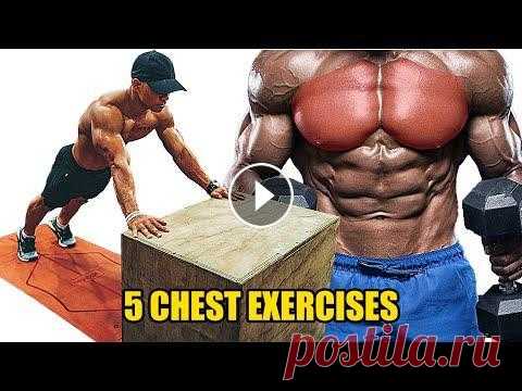 TOP EFFECTIVE CHEST EXERCISES AT HOME Register and press the bell button to watch the new video: Thank you for your help! ✔️ Fanpage: ▬▬▬▬▬▬▬▬▬▬▬▬▬▬▬▬...