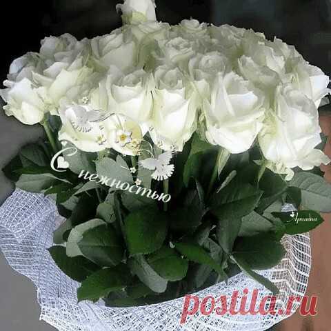 Любите женщину не только день в году.
Ей не здоровится без ласки и вниманья.
Дорога к сердцу – через лес непониманья. 
Любите женщину на радость и беду.
Любите женщину как раннюю весну.
Учась терпенью, живите в ожиданье.
И зародится в ней ответное желанье.
Однажды звёздами глаза её блеснут.
Любите женщину! Дарите ей цветы!
И не сулите то, что чего вы дать не в силах.
Улыбка солнца на устах погаснет милых.
Все обещания нелепы и пусты.
Ведь каждый нерв её натянут как стру...