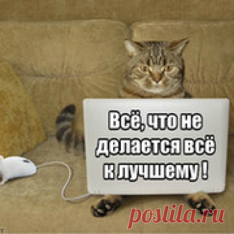 Мой Мир@Mail.Ru