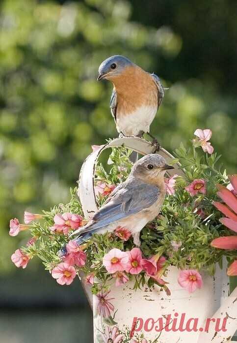 ღЖиви сегодня, сейчас, в данную минуту. Завтра придет что-то новое. Может быть, оно будет хуже, может быть, лучше. Но ни этот чудесный закат, ни эти плывущие по небу облака, ни эта узорная тень от листвы на тропинке у тебя под ногами, ни эта улыбка дорогого тебе человека, уже никогда не повторятся.
Олег Рой