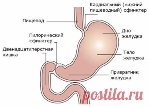 Как правильно пить воду? Я пробовала пить, но она совсем не лезет