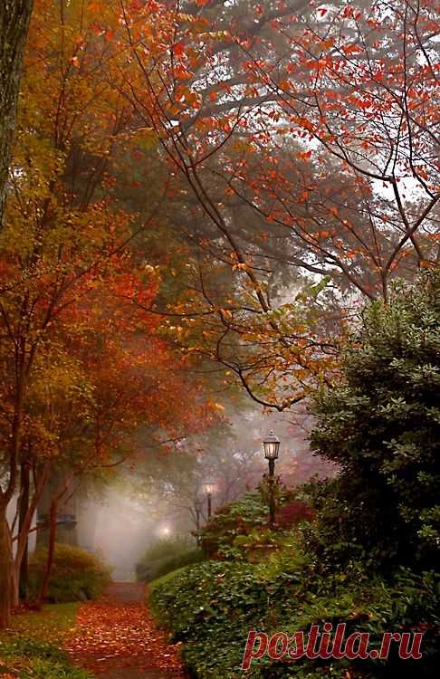 Misty Autumn.  
Autumn Cozy  |  Pinterest • Всемирный каталог идей