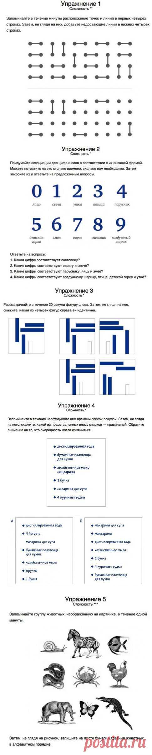 10 упражнений для тренировки памяти