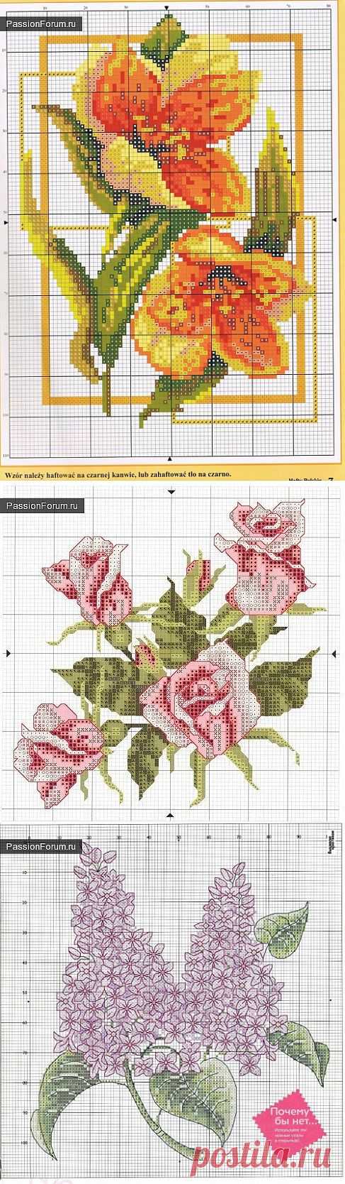 ЦВЕТОЧКИ. ЧАСТЬ 6 / Схемы вышивки крестиком / PassionForum - мастер-классы по рукоделию