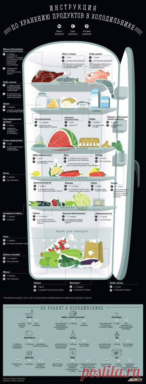 Как хранить продукты в холодильнике. Инфографика