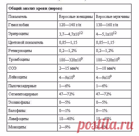 Доступно об общем анализе крови: учимся понимать свои анализы