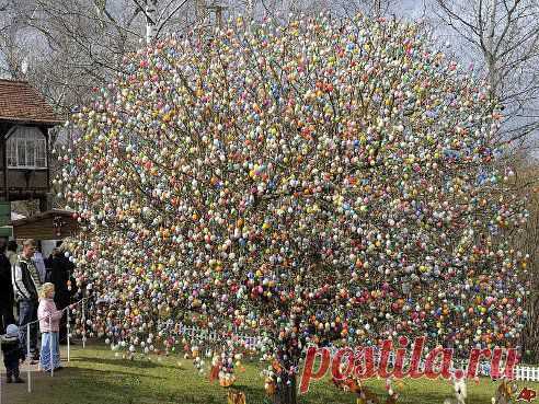 Самое красивое дерево пасхальное в мире в германии. 10тысяч повешенных яиц.
