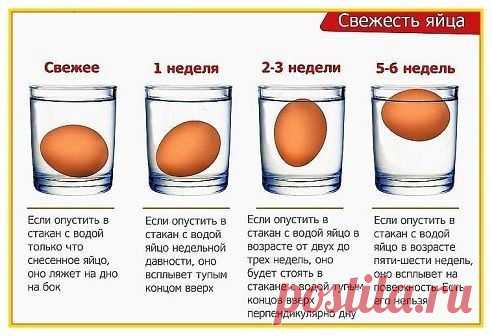 Как определить свежесть яйца.
