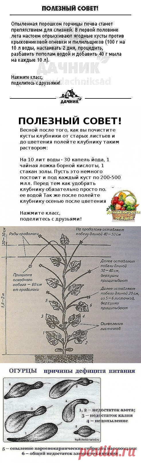 (99) Одноклассники