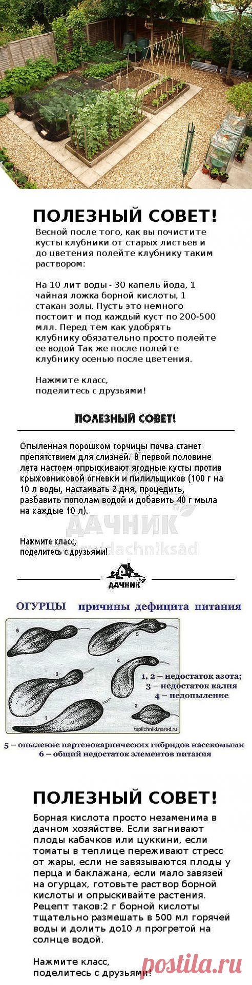 (12) Одноклассники