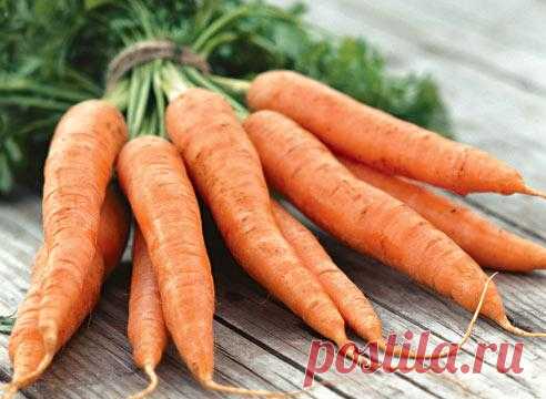 Эффективный способ посадки моркови | Хитрости жизни