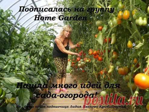 Приглашаем в группу Home Garden) ➡  ok.ru/homegardens

У нас вы найдете много идей, советов для дачи и сможете обменяться опытом с другими садоводами!