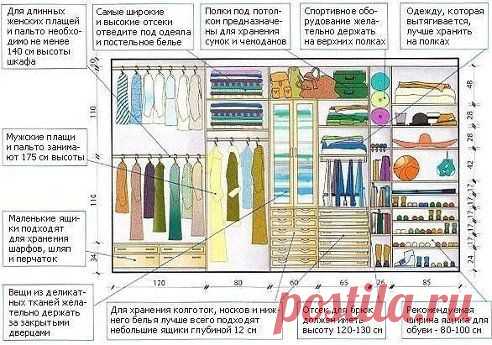 Правильное распределение места в гардеробе