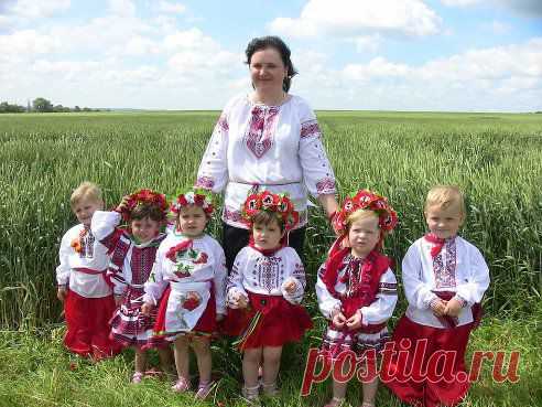 Хай засіяне поле 
Пшеницями й житами.
Хай не плачуть ніколи
Ні малеча ні мами!
Підростайте, манюні!
Хай на радість батькам.
Сонця, квітів і МИРУ
І Вкраїні і вам!
•••
Анатолий Лыков