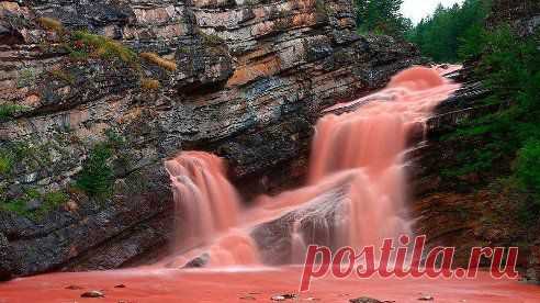 Проливные дожди в национальном парке Уотертон-Лейкс в Канаде размыли горную породу- красный аргиллит, частицы которой попали в водопад.
