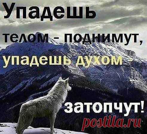 Жизнь прекрасна, но очень коварна … Что готовит она впереди? 
В путь далекий с судьбою отправит… Бесполезно! Не спорь! Иди… 
Но не смей… никогда… ты слышишь, взять в попутчики в этом пути: 
Месть, предательство, злобу и зависть, как бы ни было трудно идти.