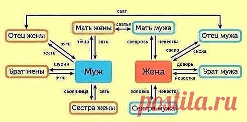 (1) Одноклассники