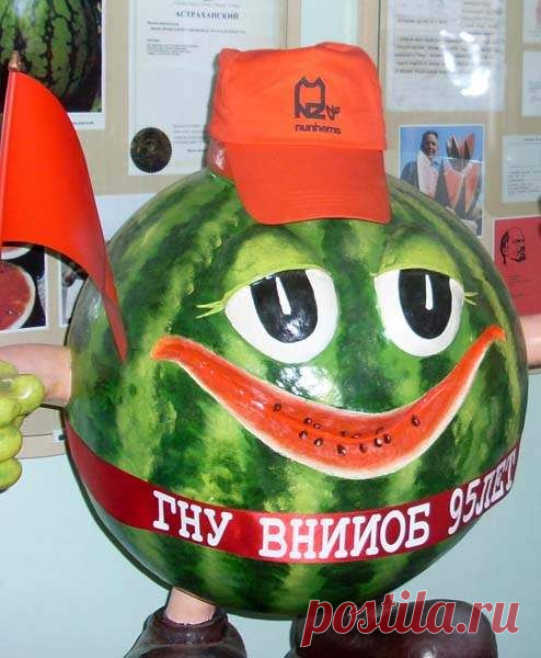 Ищу партнеров в налаженный бизнес. БЕЗ вложений и БЕЗ продаж. Вся работа ведётся только в интернете!!! 
Для получения более подробной информации ставьте +++ в комментариях и класс.