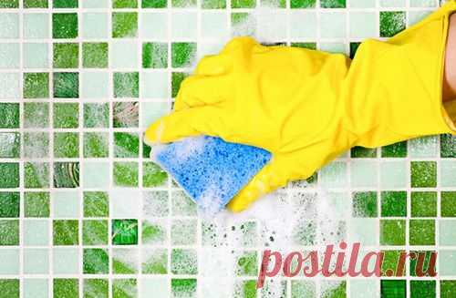 5 способов избавиться от плесени в ванной домашними средствами - МирТесен