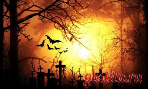 Что категорически запрещено делать на кладбище: приметы и суеверия :: Екатеринбург :: RusNews