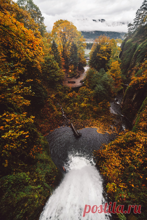 brianstowell: Autumn & Winter at Multnomah... - Saiko Kurasshā