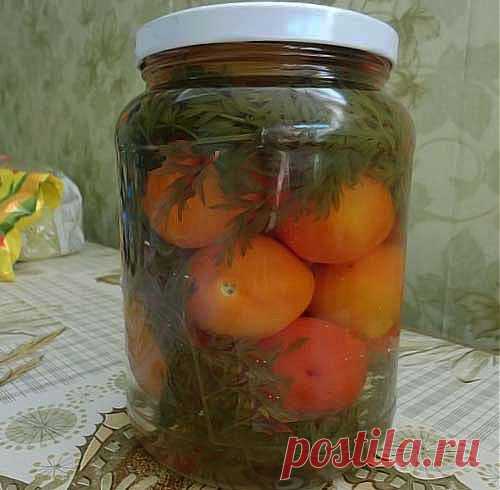 Помидоры консервированные с морковной ботвой - Простые рецепты Овкусе.ру