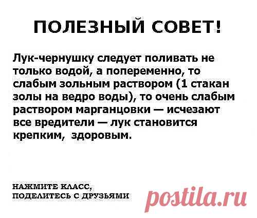 Очень РЕДКО встречаешь такие СОВЕТЫ.