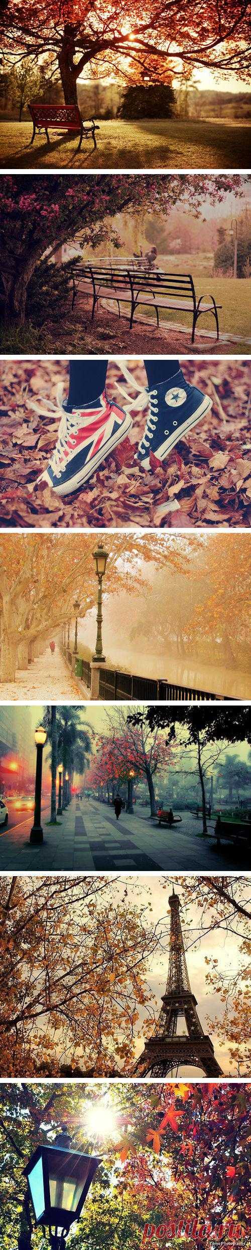 Каждая пора года по-своему прекрасна. Поэтому радуйся когда придёт осень и наслаждайся её удивительными красками
