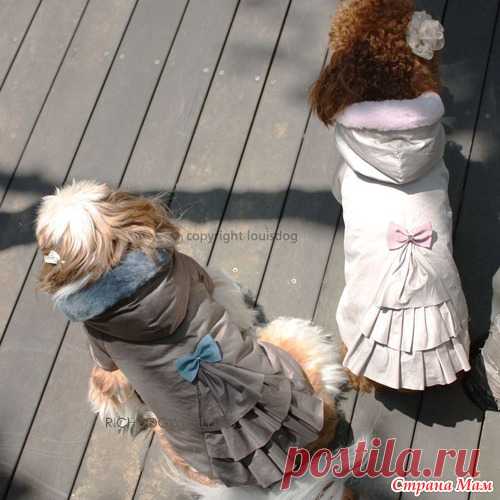 Пальто для собаки + выкройка - Гардероб для наших любимых питомцев (собак, кошек) - Страна Мам