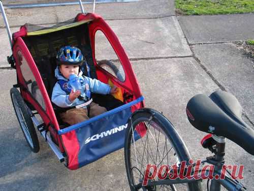 Велосипед с люлькой. Велосипед с люлькой для ребенка. Велосипед с детской люлькой. Велосипед коляска. Люлька для малыша на велосипед.