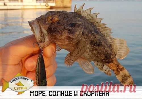 Море,солнце и скорпена | Охота и рыбалка