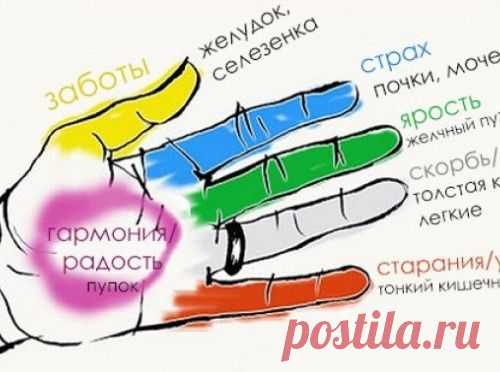 Как улучшить состояние определенных органов тела с помощью пальцев рук