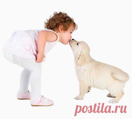 Ребенок и щенок — правила для родителей