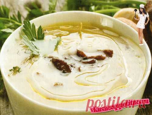 Аппетиный суп с белыми грибами-подробный рецепт с фото. | Вкусно и аппетитно всегда