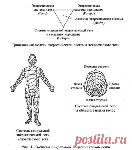 Спиральная гимнастика — удивительное оздоровление всего организма