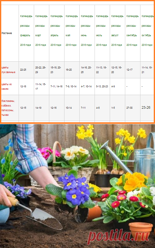 Календарь пересадки цветов на февраль 2024. Календарь рассады цветов. Календарь посадки цветов. Календарь посадки цветов на рассаду. Календарь сеянцев на рассаду.