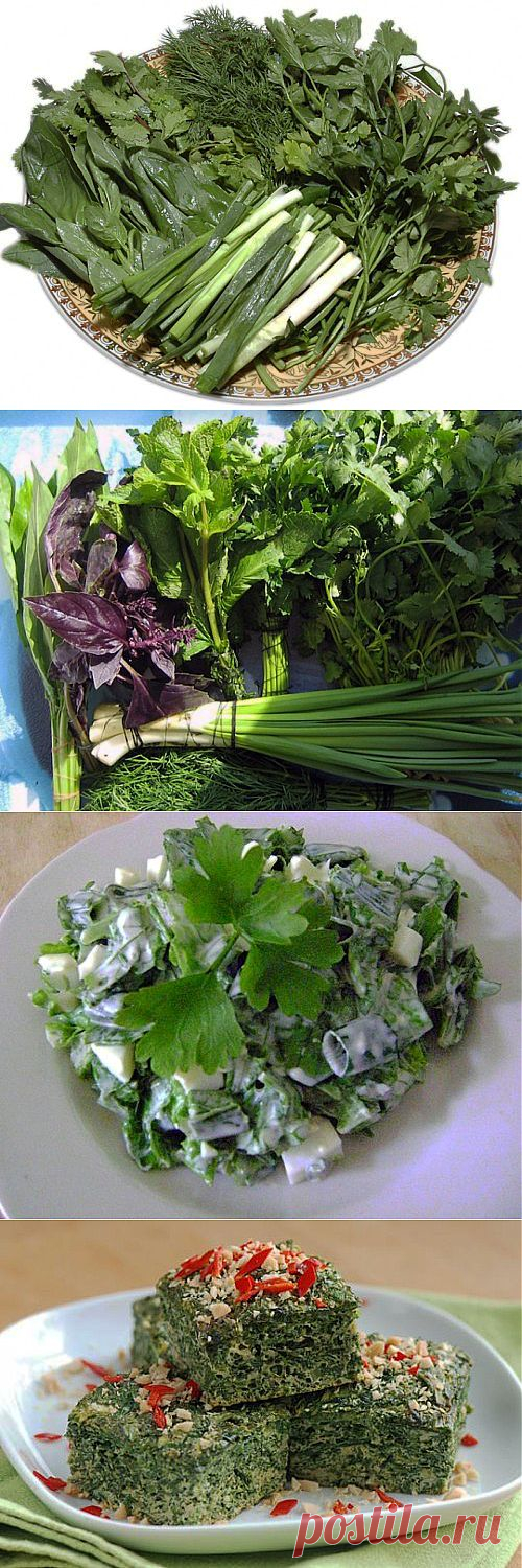 Блюда из огородной зелени / Простые рецепты